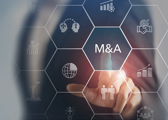 Nordic Innovators Corporate Finance specialises in providing M&A advisory services.